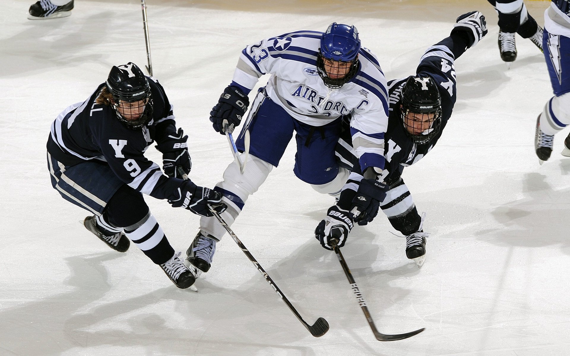 星空体育官方网站-运动员日常营养标准首次公开发布，运动员营养要求